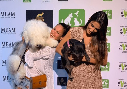 Captura de pantalla 2019 09 17 a las 14.58.07